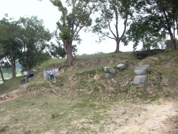 �F�����R�Õ�