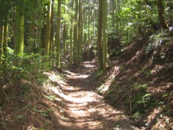 �ɗ\�՘H�� �O�p�����V�@��