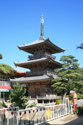 ���莛�O�d��