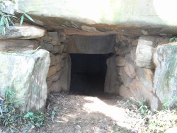 �����R�Õ�