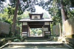 �V���J���m����