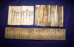 �͑��ƕ���