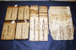 ���q�ƕ���