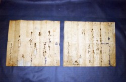 ���q�ƕ���