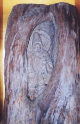 �؋� �ؑ��q���ϐ�����F��