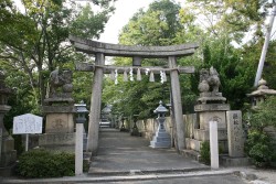 �i��V�]�����_�Ёj�咹��