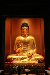 ��t���i��y���j