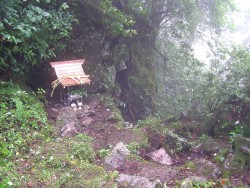 �L��_�Е����Ղ�