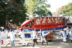 �����ۑD�S