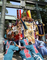 ����D���