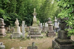 ���A��������