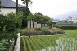 �_�{����