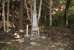 ����Z�Y�����S�����