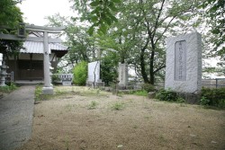 ����F���q���