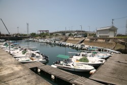 ���삽���