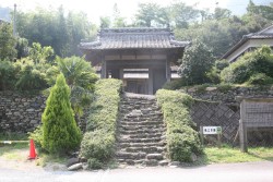 �n���{�w��