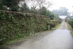 ��쑺�i���g�j�����͒[�Ɖ��~�\��