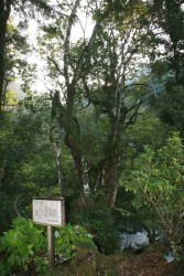 �E���W���K�V