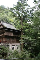 ���V�@�̑吙