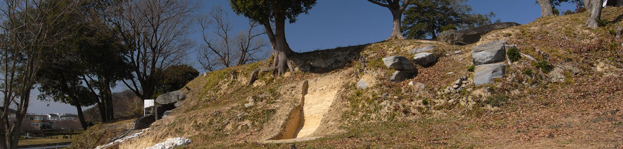 UmaMukaiyama AncientTomb
�F�����R�Õ�
�ڍ׃y�[�W��